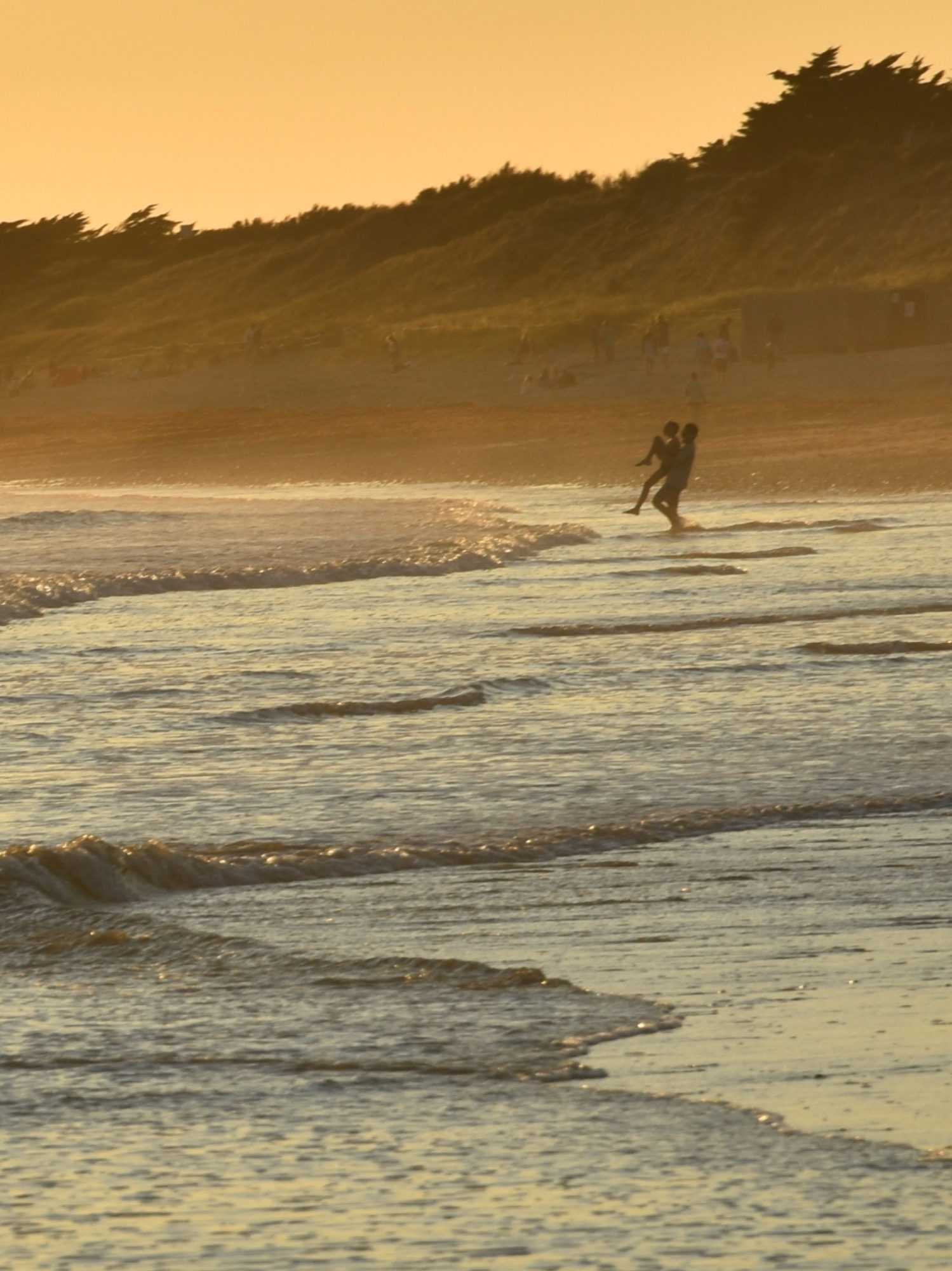 Ile de Ré beach at sunset