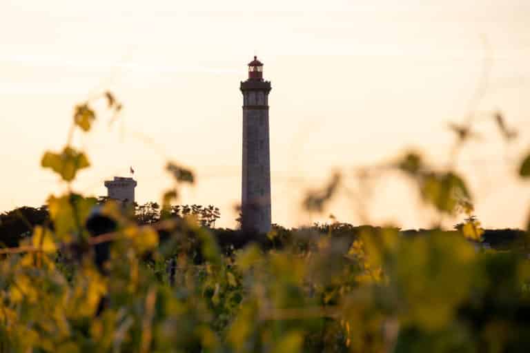 Phare parmi les vignes au coucher du soleil.